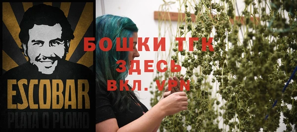 спайс Алзамай