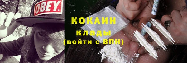 спайс Алзамай