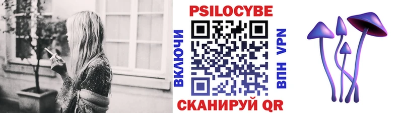 Галлюциногенные грибы MAGIC MUSHROOMS сайты даркнета Telegram Котельники цены наркотик