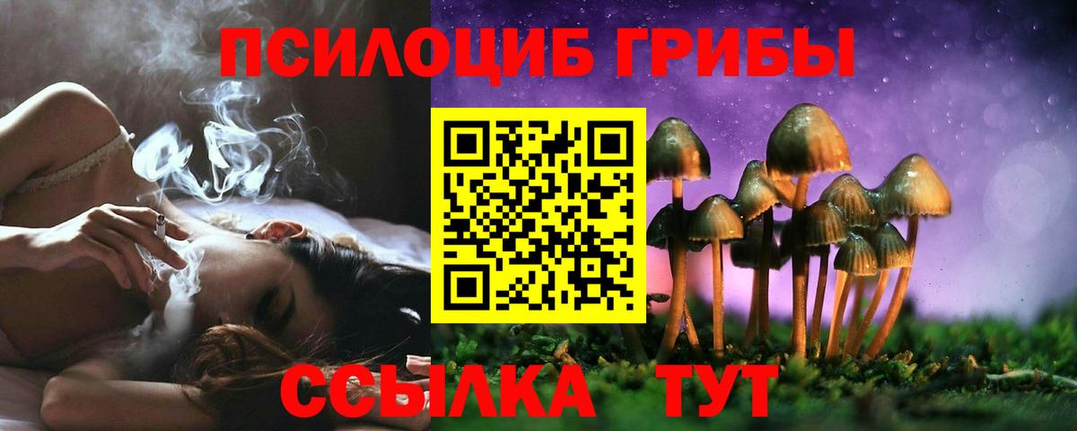Галлюциногенные грибы Magic Shrooms  Вход с VPN  Галлюциногенные грибы MAGIC MUSHROOMS  Котельники 