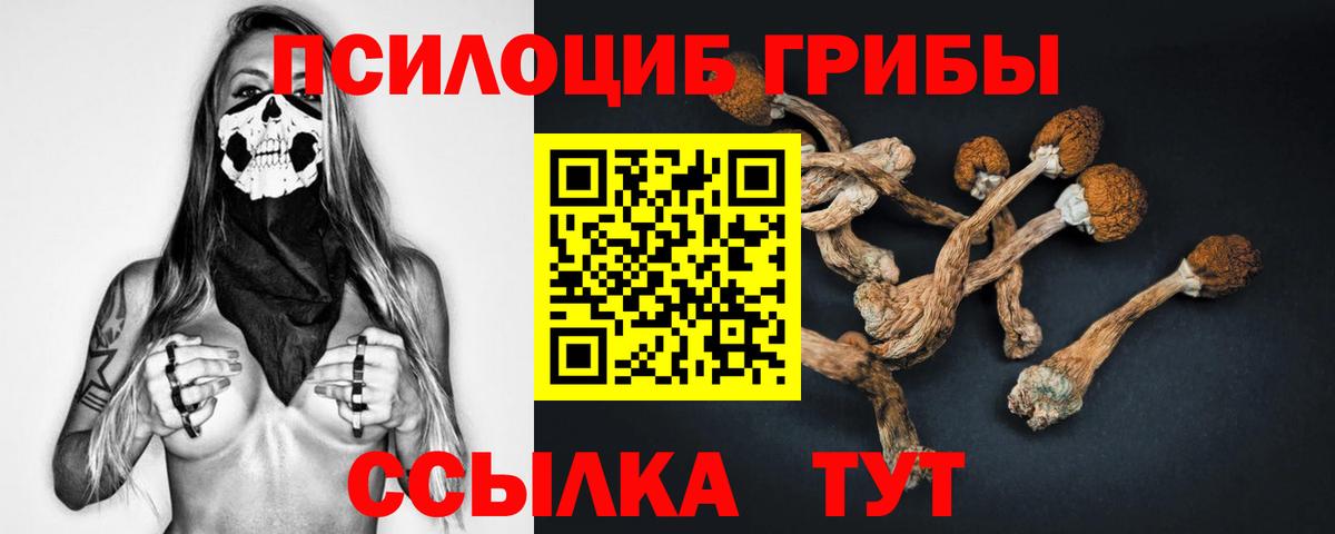 Галлюциногенные грибы мицелий Котельники
